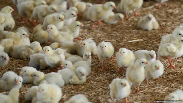 प्रातिनिधिक फोटो