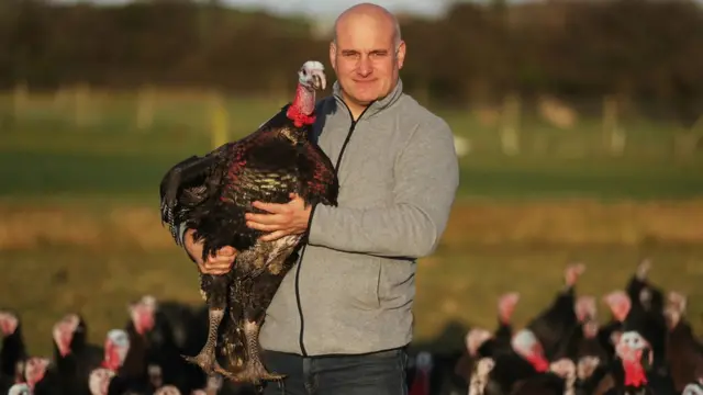 Фермер в Ирландии