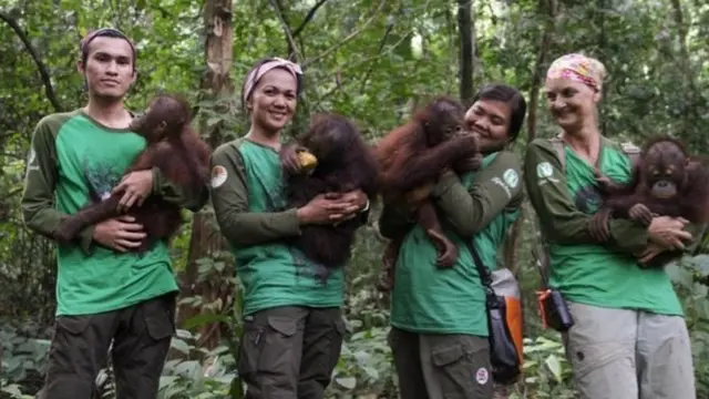 Эти снимки были сделаны еще до начала пандемии. Сейчас сотрудники заповедника носят лицевые маски