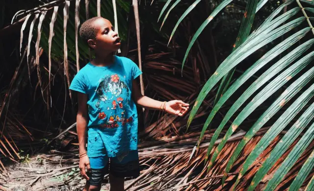 O sobrinho de Petrus Kinggo olha para uma palmeira