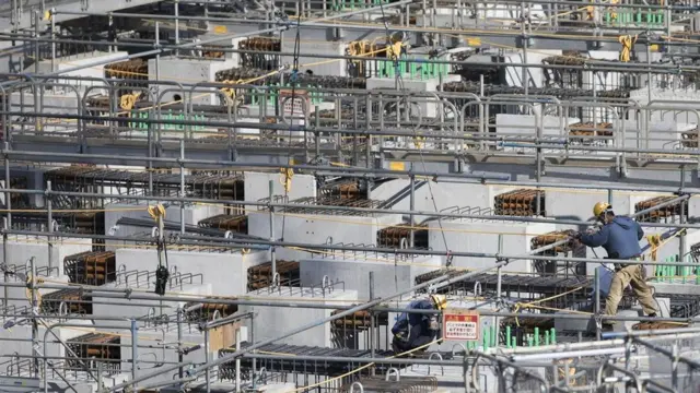 اليابان تتغير: مسنون وأجانب أكثر