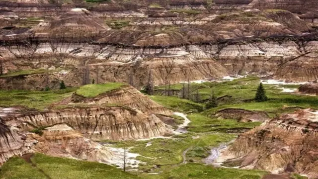 Miamba laini ya Bedland Canada ndio mahali maarufu zaidi ulimwenguni kwa wawindaji wa mabaki ya dinosaria