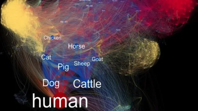 இனங்களுக்கு இடையே பரவும் நோய்களின் பட விளக்கம்