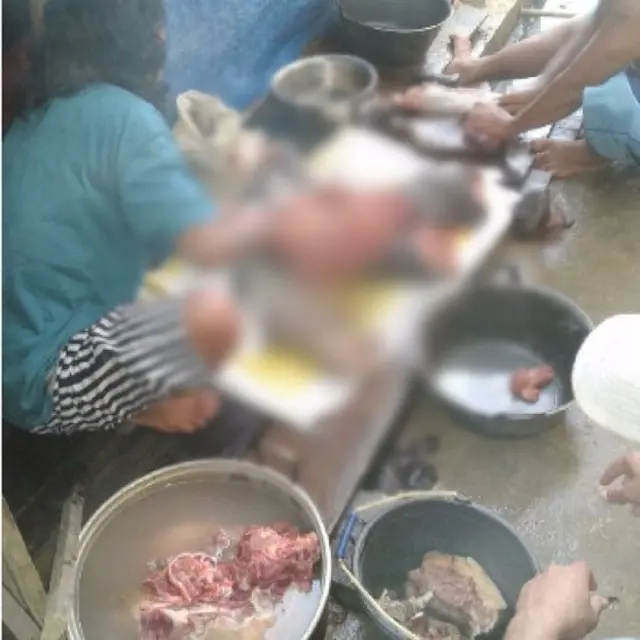Di kamp karyawan perkebunan sawit, jasad orang utan itu dipotong-potong dan dimasak.