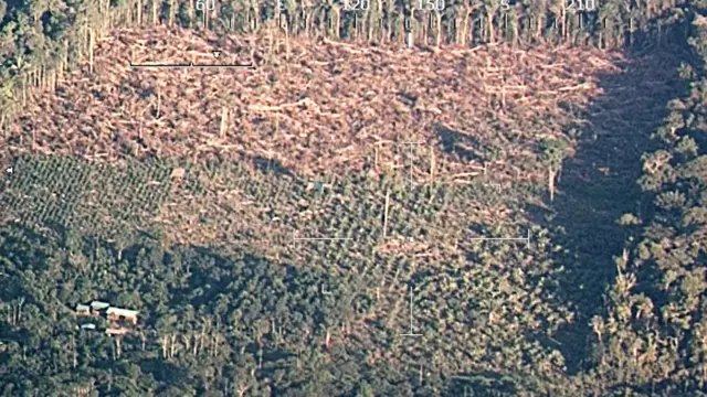 imágenes aéreas de la Amazonía.