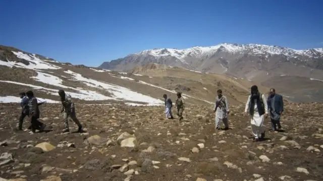 علیپور او ټوپکوال یې تر ډېره د میدان وردګو بهسودو ولسوالۍ کې فعال دي