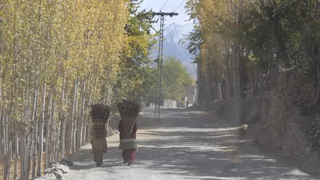 బాల్టిస్తాన్