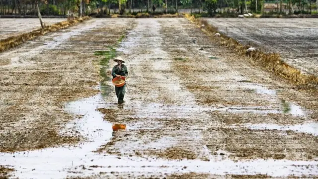 Região rural no Vietnã