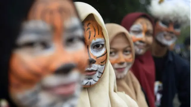 harimau