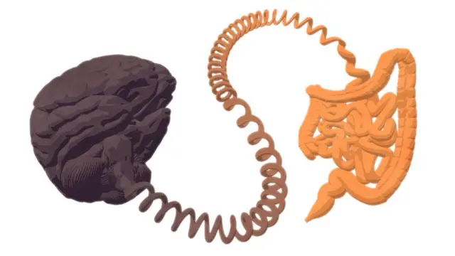 Gut, Brain: तुमचे पोट आणि मानसिक आरोग्य यांचा काय संबंध आहे?