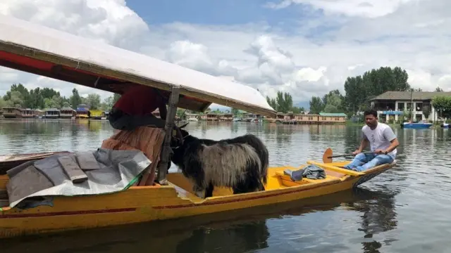 శ్రీనగర్ పరిస్థితి