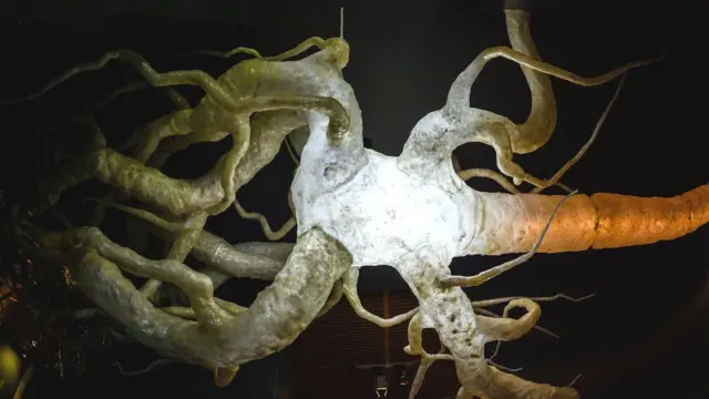 Нервова тканина