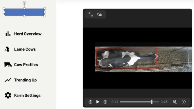 تقنية كاتل آي