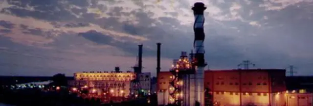 ఆంధ్రప్రదేశ్ గ్యాస్ పవర్ కార్పొరేషన్ భాగస్వామ్యంతో నడిచే విజ్జేశ్వరం పవర్ ప్లాంట్