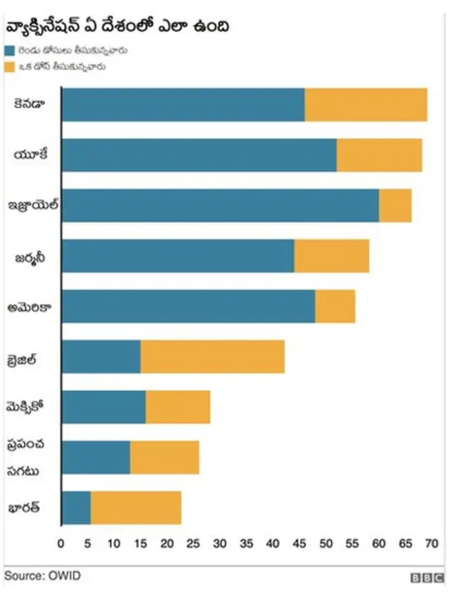 వ్యాక్సీనేషన్ ఏ దేశంలో ఎలా ఉంది