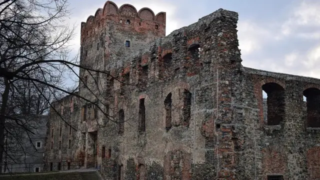 （图片来源：Pavlo Fedykovych）