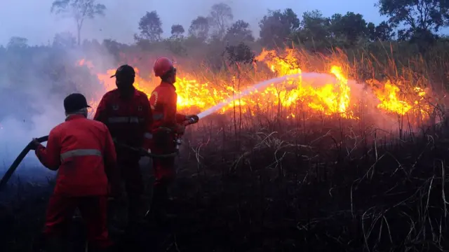 Tim Maggala Agni memadamkan kebakaran lahan gambut di desa Pulau Semambu, Ogan Ilir, Sumatera Selatan, Selasa (06/08/2019).