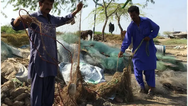 ماہی گیر، سندھ