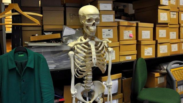 В офисе остеологического департамента Музея Лондона все полки заставлены коробками с человеческими костями