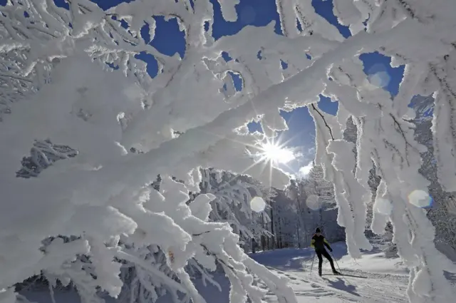 متزلج على الجليد في منتجع "تشامب دو فيو" بفرنسا.