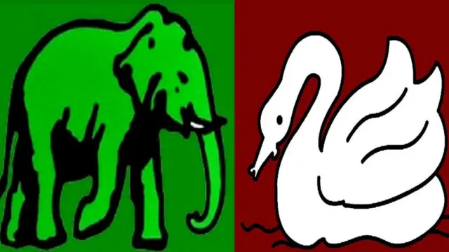 එක්සත් ජාතික පක්ෂයේ 'අලියා' මැකී යයි ද?
