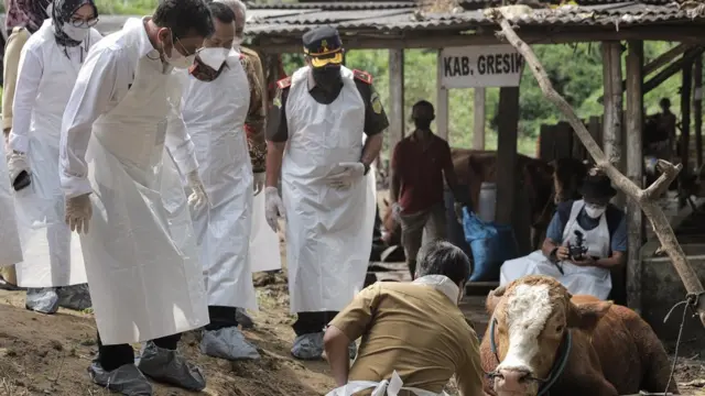 Penyakit mulut dan kuku