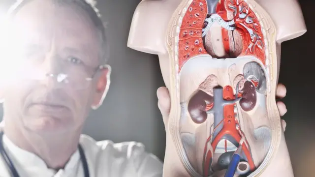 સાંકેતિક તસ્વીર