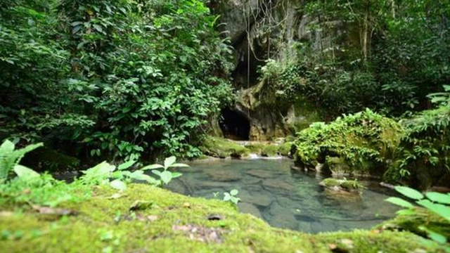 Cavernaapostar em resultadosBelize