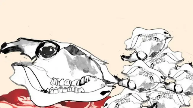 جانور کا سر