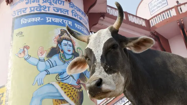 "গরুকে যারা শ্রদ্ধা ভক্তি করেন, তাদের ভাবাবেগের কথাও মাথায় রাখা উচিত" প্রাণীসম্পদ উন্নয়ন মন্ত্রী ভগবান দাস