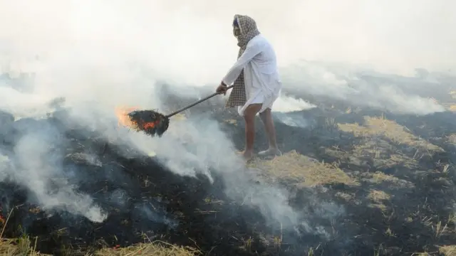 पराली जलाता किसान