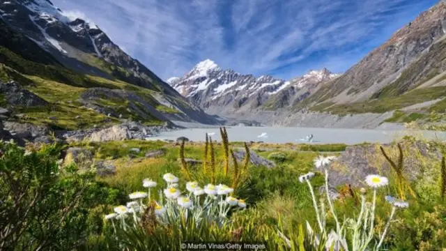 Новая Зеландия