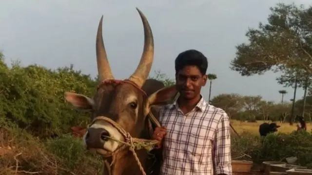 களைகட்டிய ஜல்லிக்கட்டு போட்டிகள்: சுவாரஸ்ய தகவல்கள்