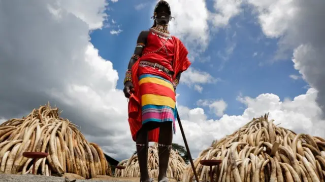 हस्तिहाड