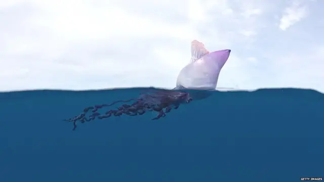 પ્રતીકાત્મક તસવીર