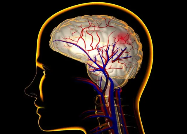 પ્રતીકાત્મક તસવીર