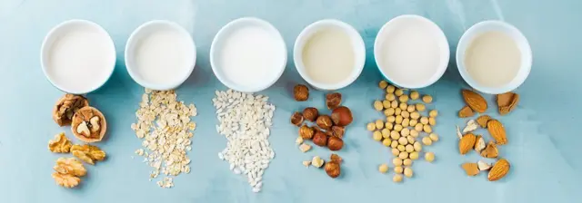 نوشیدنی سویا نزدیک‌ترین و مشابه‌ترین نوشیدنی به شیر لبنی از نظر میزان پروتئین است، شیر سویا کربوهیدارت کمتری نسبت به جو و نارگیل و برنج و بادام دارد