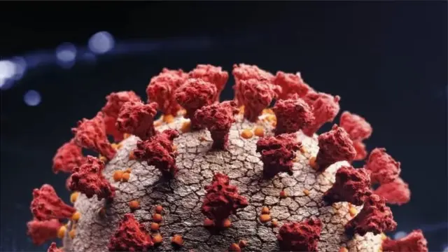 করোনাভাইরাস