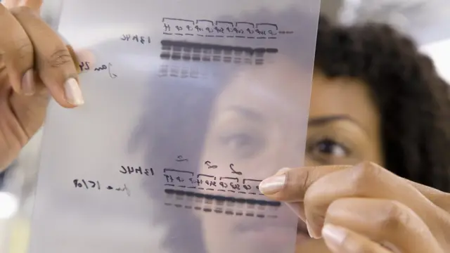 डीएनए सैम्पल जांच