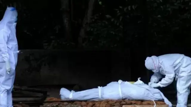 कोरोना, मृत्यू, न्यायालय