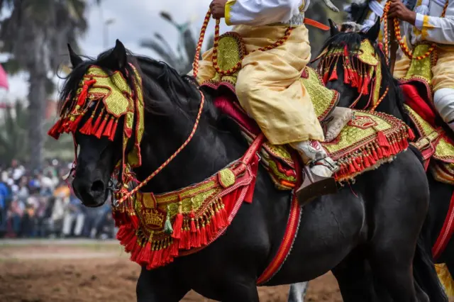A man rides a horse kitted out in ornate and colourful tack.