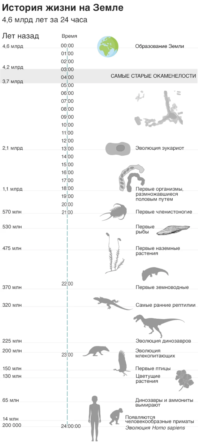 История жизни на Земле
