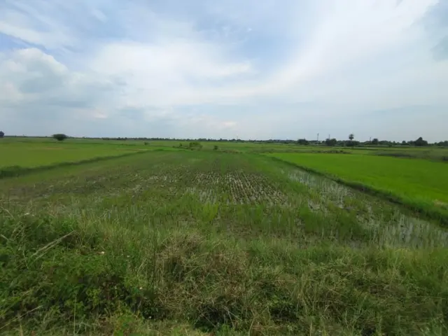 விமான நிலையம் அமையவுள்ள இடத்தில் இருக்கும் விளைநிலங்கள்