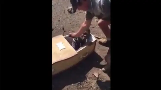 Une capture d'écran de la vidéo à l'origine des arrestations de Willem Oosthuizen et Theo Martins Jacksonthen