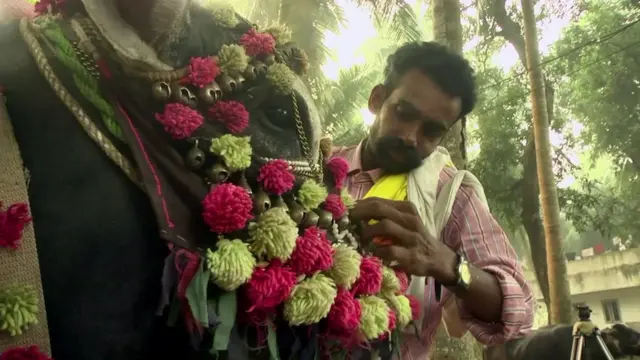 గంగిరెద్దుకు అలంకరణ