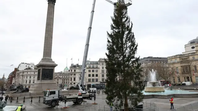 Елка-2021 на Трафальгарской площади