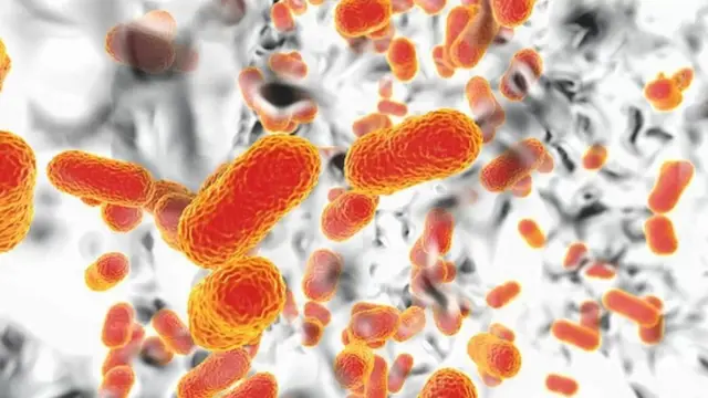 சூப்பர்பக்