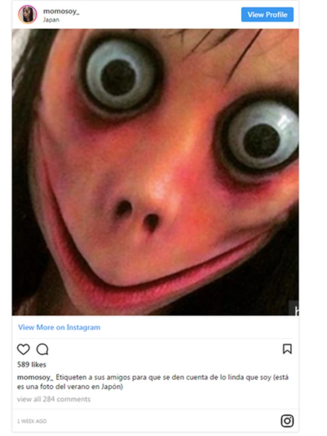 Momo close up, from an Instagram post