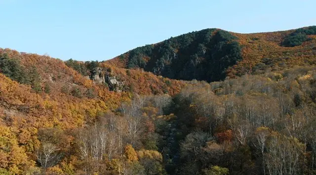 Leopard National Park