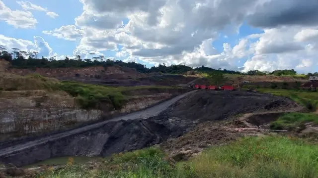 tambang batu bara ilegal